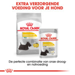 Royal Canin Hondenvoer Droog Dermacomfort Mini 1 kg