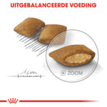 Royal Canin Hondenvoer Droog Exigent Mini 1 kg