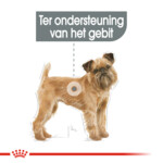 Royal Canin Hondenvoer Droog Dental Care Mini 8 kg