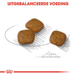 Royal Canin Hondenvoer Droog Urinary Care Mini 1 kg