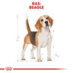 Royal Canin Hondenvoer Droog Beagle Adult 3 kg