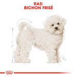 Royal Canin Hondenvoer Droog Bichon Frise Adult 1,5 kg