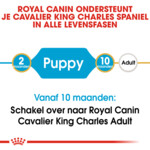 6x Royal Canin Hondenvoer Droog Cavalier King Charles Puppy 1,5 kg