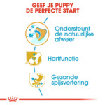 6x Royal Canin Hondenvoer Droog Cavalier King Charles Puppy 1,5 kg