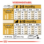 6x Royal Canin Hondenvoer Droog Cavalier King Charles Puppy 1,5 kg