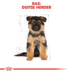 Royal Canin Hondenvoer Droog German Shepherd Puppy 1 kg