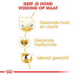Royal Canin Hondenvoer Droog Golden Retriever Adult 1 kg