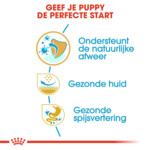 Royal Canin Hondenvoer Droog Pug Puppy 1,5 kg
