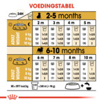 Royal Canin Hondenvoer Droog Pug Puppy 1,5 kg