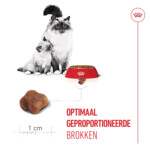 Royal Canin Kattenvoer Droog Mother & Babycat 10 kg