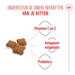 6x Royal Canin Kattenvoer Sterilised Kitten 2 kg