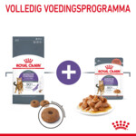 Royal Canin Kattenvoer Droog Appetite Control Care 10 kg