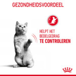 Royal Canin Kattenvoer Droog Appetite Control Care 10 kg