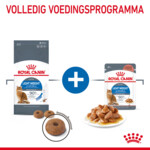 Royal Canin Kattenvoer Droog Light Weight Care 1,5 kg