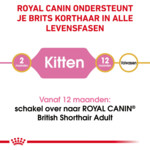 Royal Canin Kattenvoer Droog British Shorthair Kitten 400 gr