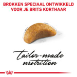 Royal Canin Kattenvoer Droog British Shorthair Kitten 400 gr