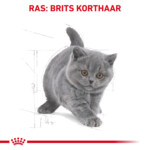 Royal Canin Kattenvoer Droog British Shorthair Kitten 400 gr
