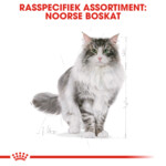 Royal Canin Kattenvoer Droog Norwegian Forest Cat 400 gr