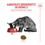 Royal Canin Kattenvoer Droog Fussy Exigent 10 kg