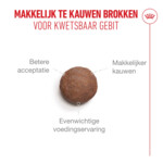 Royal Canin Kattenvoer Droog Ageing 11+ 400 gr
