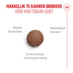 Royal Canin Kattenvoer Droog Ageing 15+ 400 gr