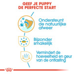 6x Royal Canin Hondenvoer Droog Chihuahua Puppy 1,5 kg