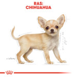 6x Royal Canin Hondenvoer Droog Chihuahua Puppy 1,5 kg