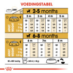 6x Royal Canin Hondenvoer Droog Chihuahua Puppy 1,5 kg