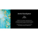 3x Therme Men 3in1 Wash Arctic Eucalyptus - 17.87 euro
