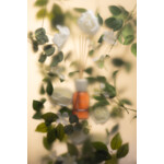 Millefiori Milano Geurstokjes Rose Espresso - 31.89 euro