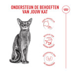 Royal Canin Kattenvoer Droog Fussy Exigent 4 kg