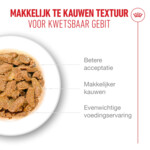 12x Royal Canin Kattenvoer Nat Jelly Ageing 11+ 85 gr