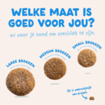 6x Edgard & Cooper Hondenvoer Droog Zalm Medium 1 kg