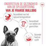 12x Royal Canin Hondenvoer Nat Adult French Bulldog 85 gr