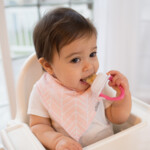 Dr. Browns Fresh Food Feeder Roze - 8.19 euro