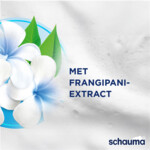 Schauma Conditioner Anti-Klit - 2.35 euro