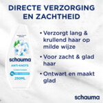 Schauma Conditioner Anti-Klit - 2.35 euro