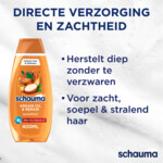 Schauma Shampoo Argan Oil & Repair - 3.99 euro