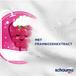Schauma Shampoo & Conditioner Kids Raspberry - 3.89 euro