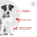 Royal Canin Hondenvoer Droog Glycobalance Small Dogs 4 kg