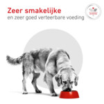 Royal Canin Hondenvoer Droog Glycobalance 1,5 kg
