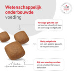 Royal Canin Hondenvoer Droog Glycobalance 12 kg