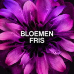 6x Lenor In-Wash Geurbooster Bloemen Fris 19 wasbeurten - 37.85 euro