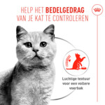 12x Royal Canin Kattenvoer Nat Appetite Control Care  Airlift Mousse 85 gr