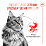 12x Royal Canin Kattenvoer Nat Digestive Care Airlift Mousse 85 gr