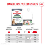12x Royal Canin Kattenvoer Nat Digestive Care Airlift Mousse 85 gr