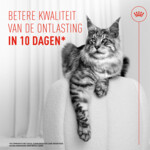 12x Royal Canin Kattenvoer Nat Digestive Care Airlift Mousse 85 gr