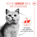 12x Royal Canin Kattenvoer Nat Light Weight Care Airlift Mousse 85 gr