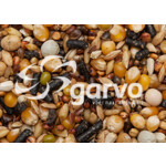 Garvo Duivenvoer Slution - 34.95 euro
