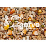 Garvo Duivenvoer G-Spirits Kweek 18 kg